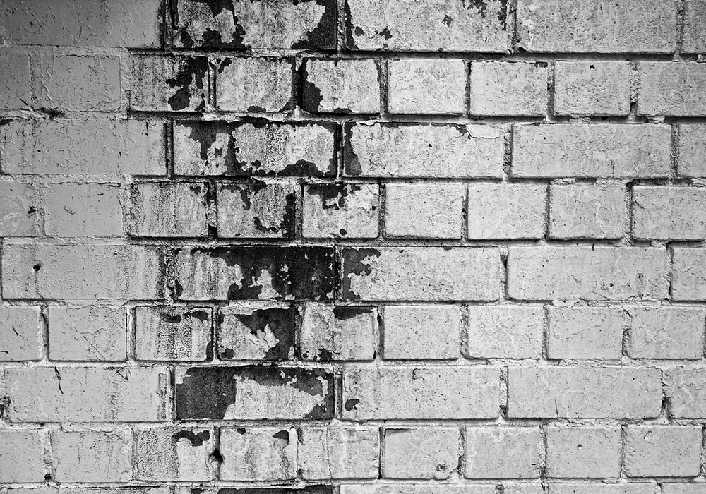 mold-damage-claims