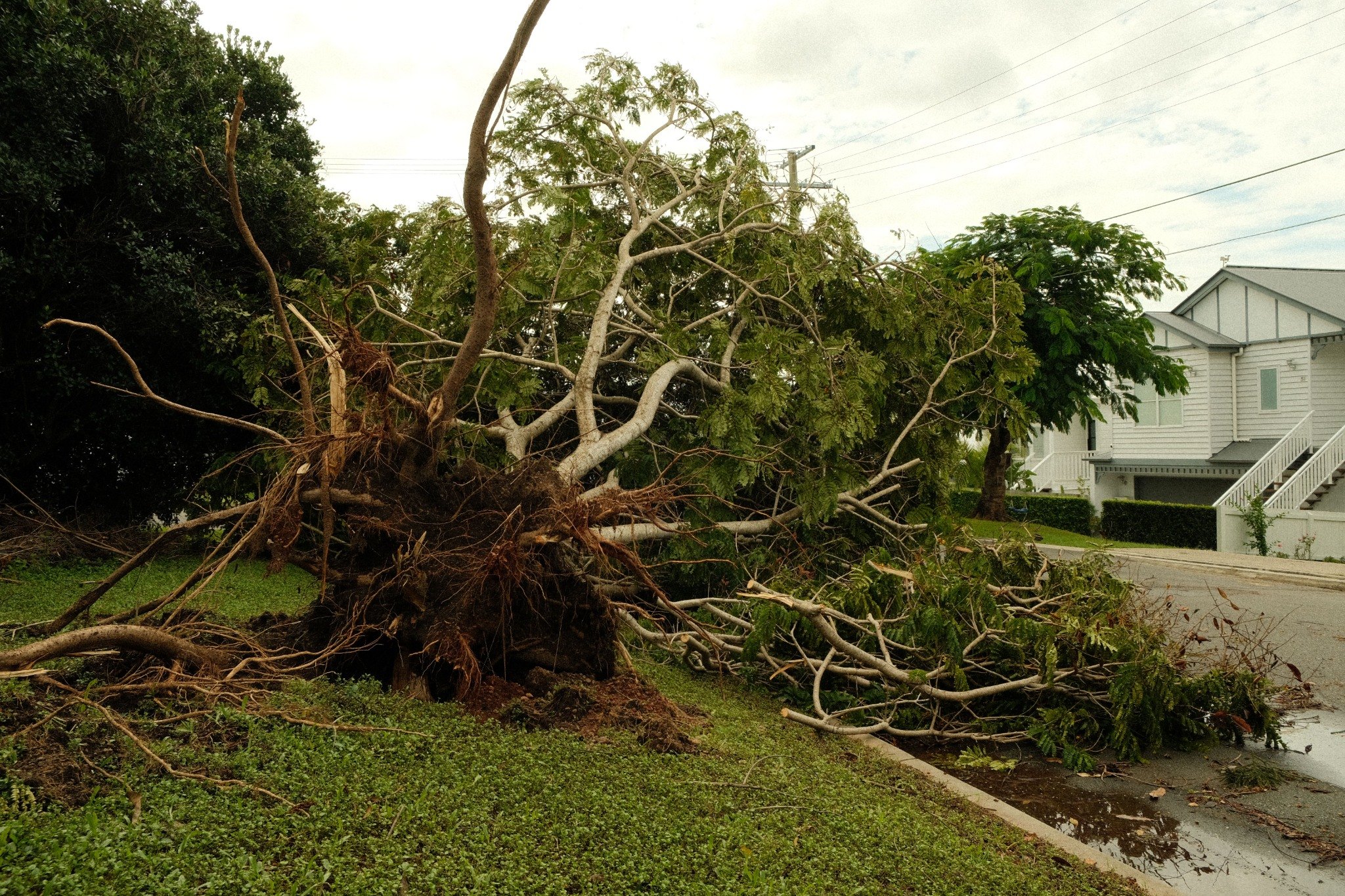hurricane_isaias_claim_help